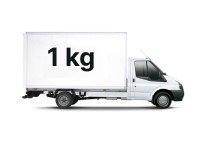 tempotrans express de la 1 kg pina 24 tone b